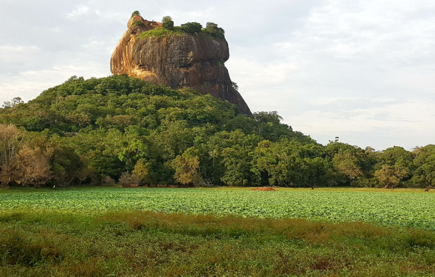 Ayurveda Sri Lanka