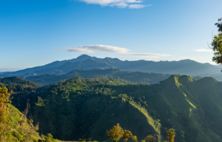 Sri Lanka Uncovered