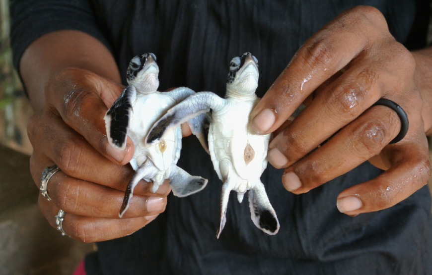 Ayurveda Sri Lanka