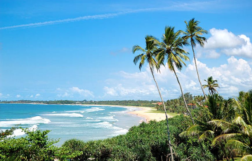 Discover Sri Lanka Beauty