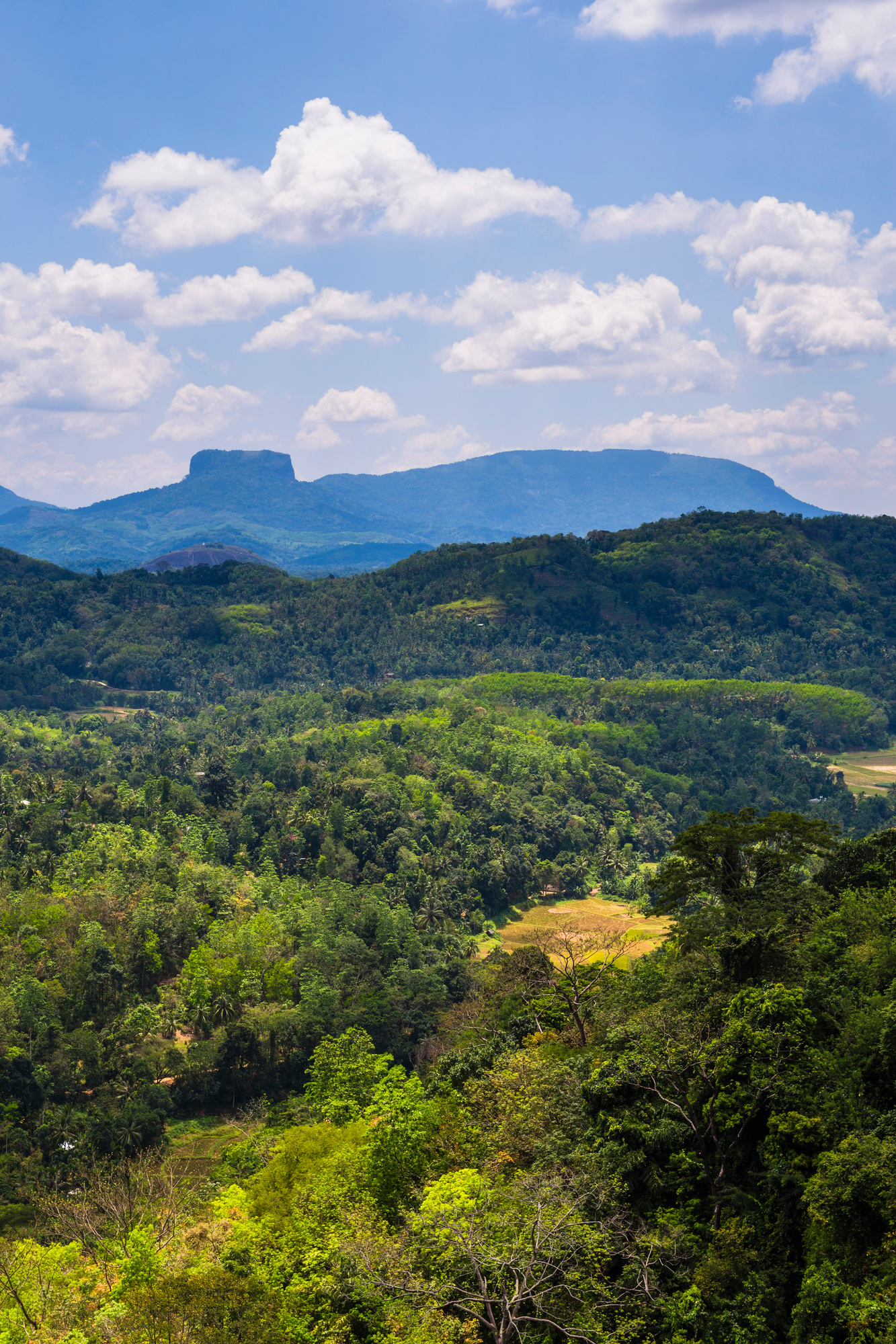 Bible Rock, near Kandy in the Sri Lanka Central Province aka Sri Lanka Highlands or Sri Lanka Hill C